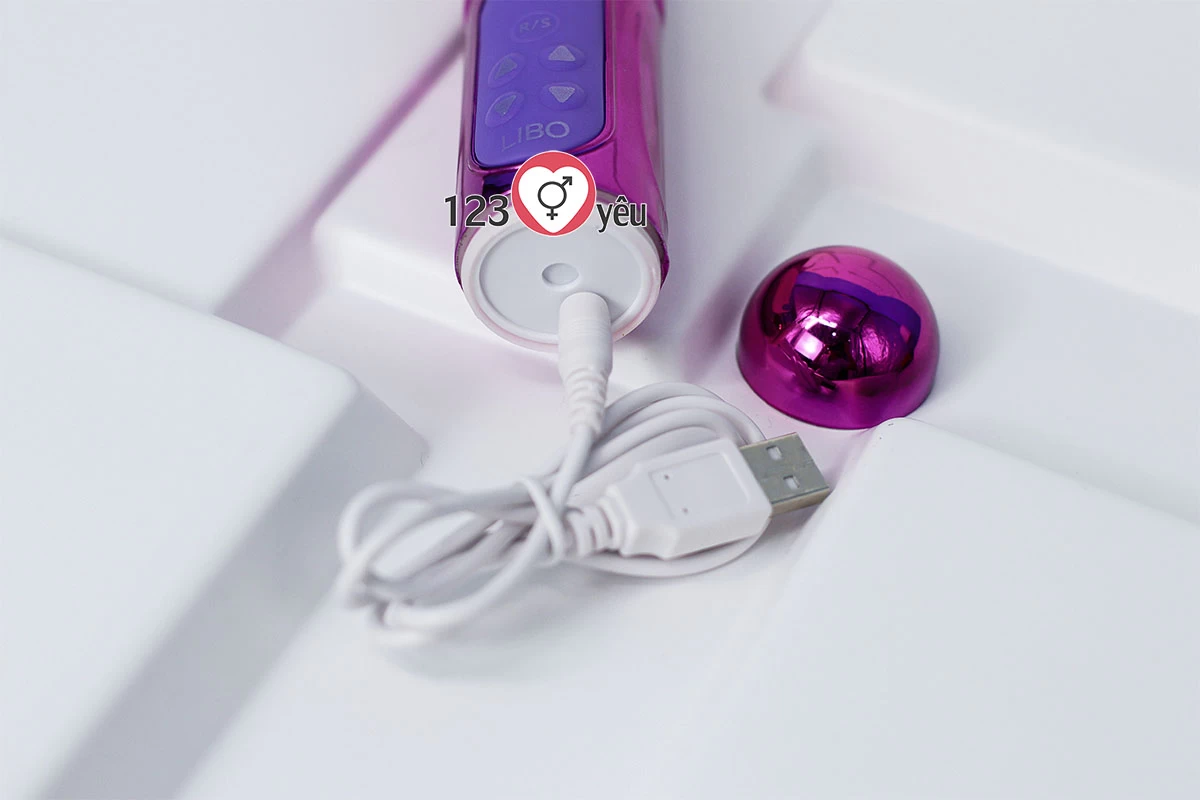 Dương vật giả đa năng Libo thật rung, thụt pin sạc h&agrave;ng thật