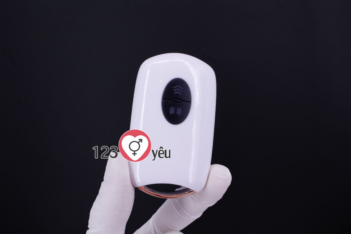 Dương v&acirc;̣t giả có đ&ecirc;́ Cyclone Fire rung thụt, phát nhi&ecirc;̣t đi&ecirc;̀u khi&ecirc;̉n từ xa 9