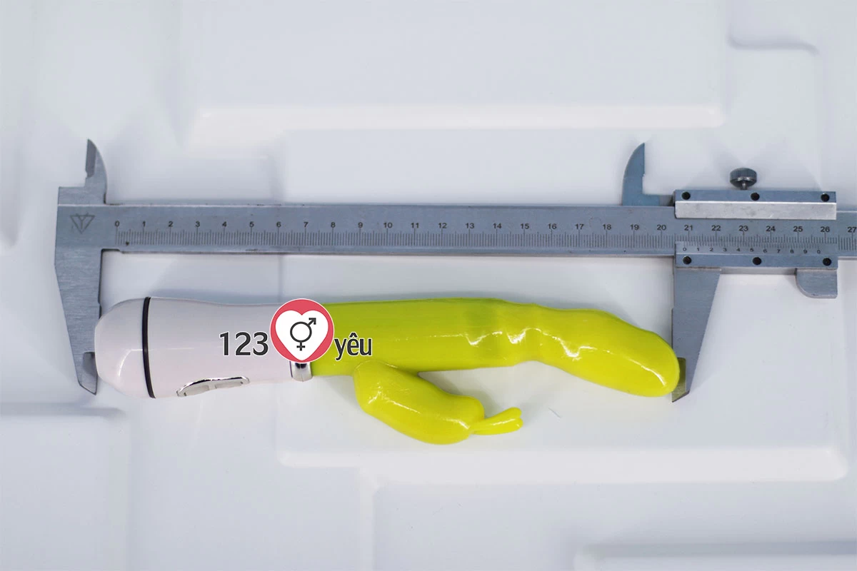 Dương v&acirc;̣t giả Vibrator pin sạc