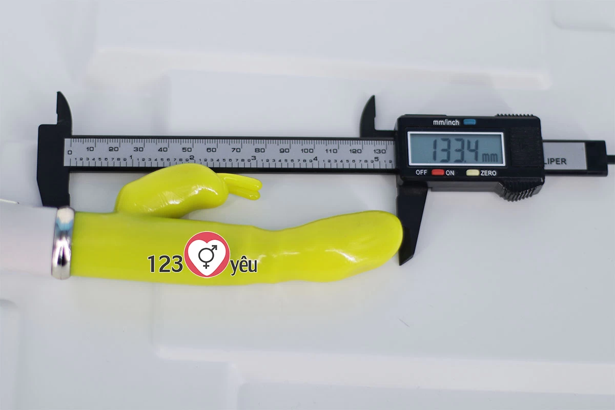 Dương v&acirc;̣t giả Vibrator pin sạc