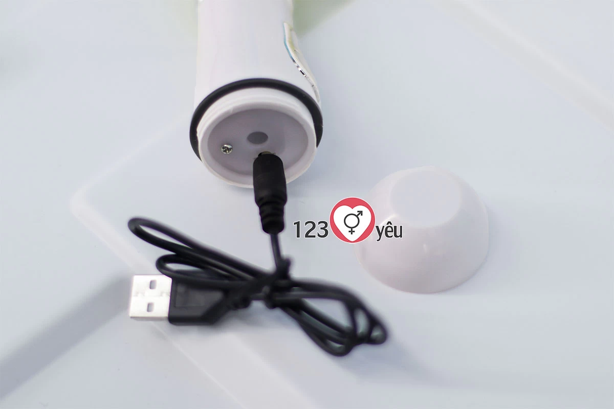 Dương v&acirc;̣t giả Vibrator pin sạc