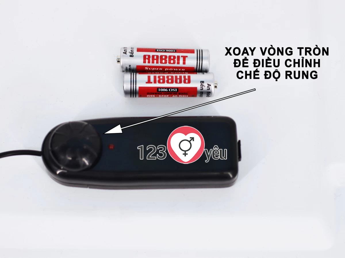 Dương vật giả c&oacute; d&acirc;y đeo Ultra Passionate có rung cho LES