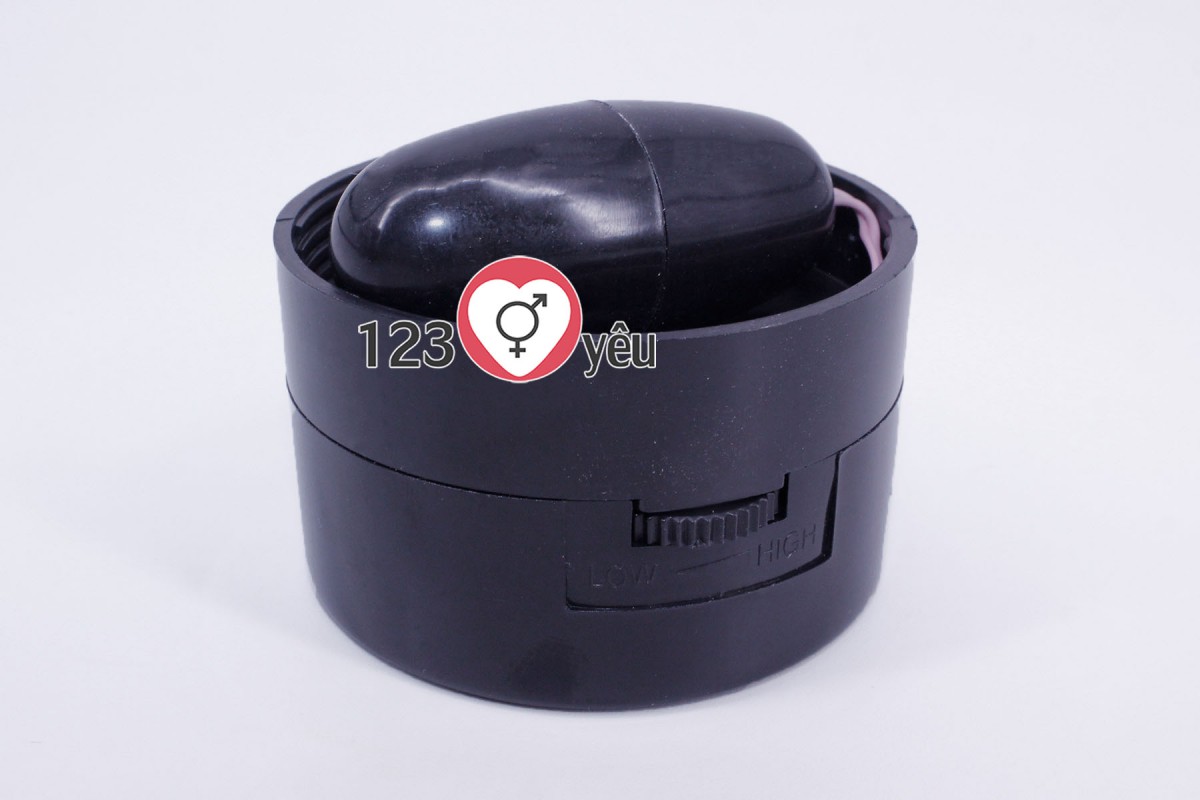 &Acirc;m đạo giả nguỵ trang đ&egrave;n pin Bussy 3