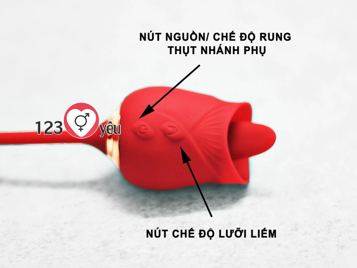 Trứng rung t&igrave;nh y&ecirc;u hoa hồng hai đầu