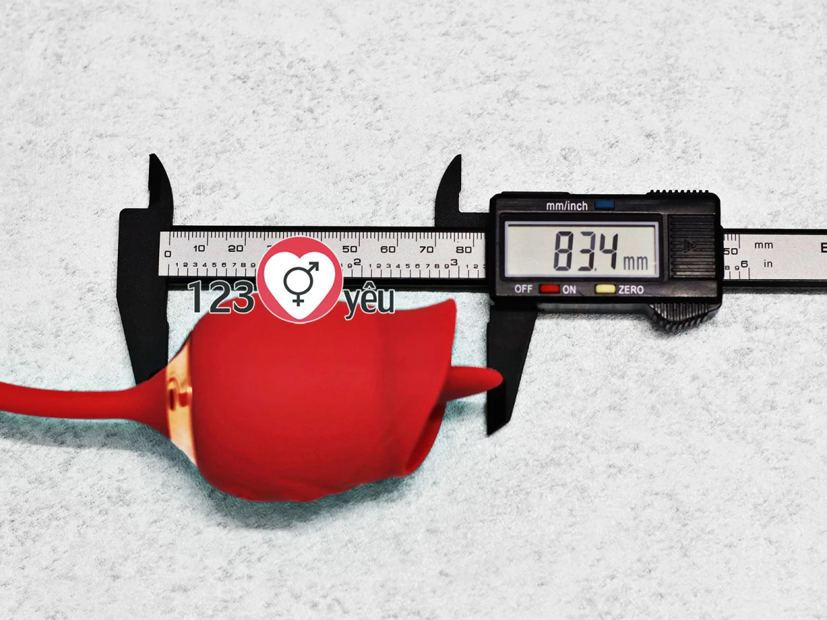 Trứng rung t&igrave;nh y&ecirc;u hoa hồng hai đầu