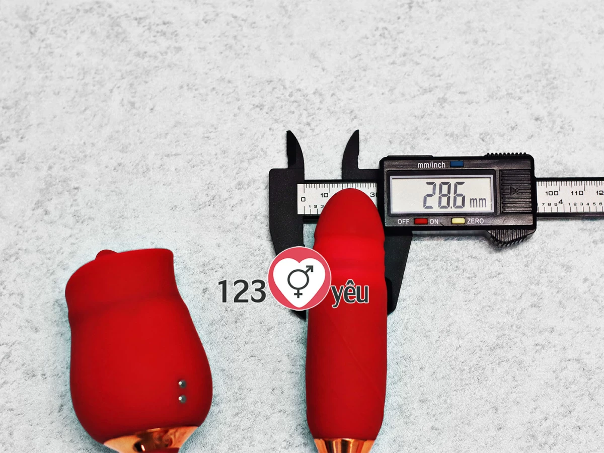 Trứng rung t&igrave;nh y&ecirc;u hoa hồng hai đầu