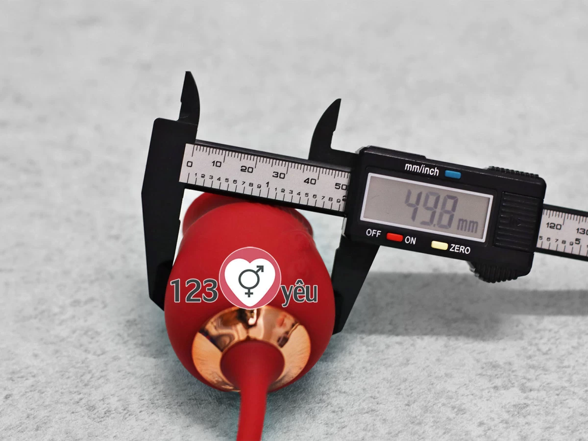 Trứng rung t&igrave;nh y&ecirc;u hoa hồng hai đầu