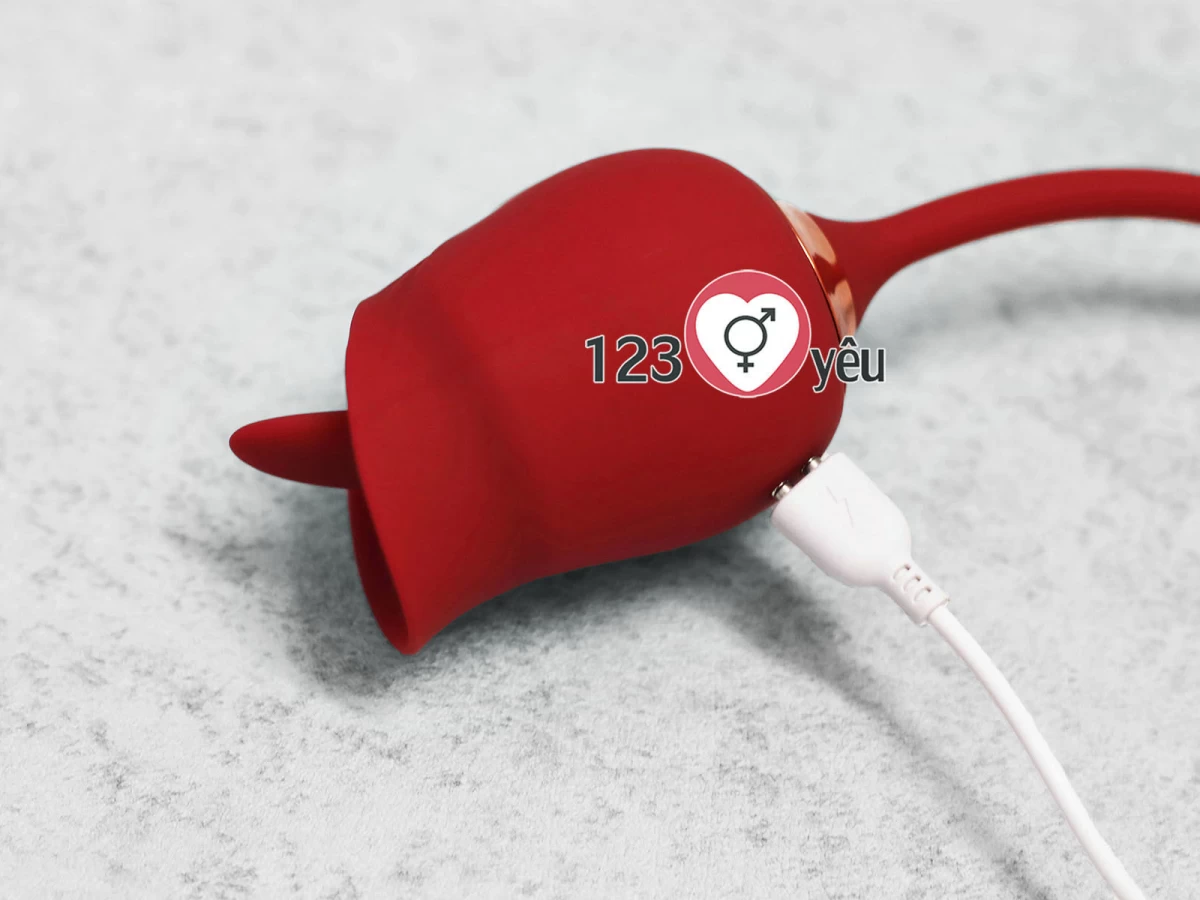 Trứng rung t&igrave;nh y&ecirc;u hoa hồng hai đầu