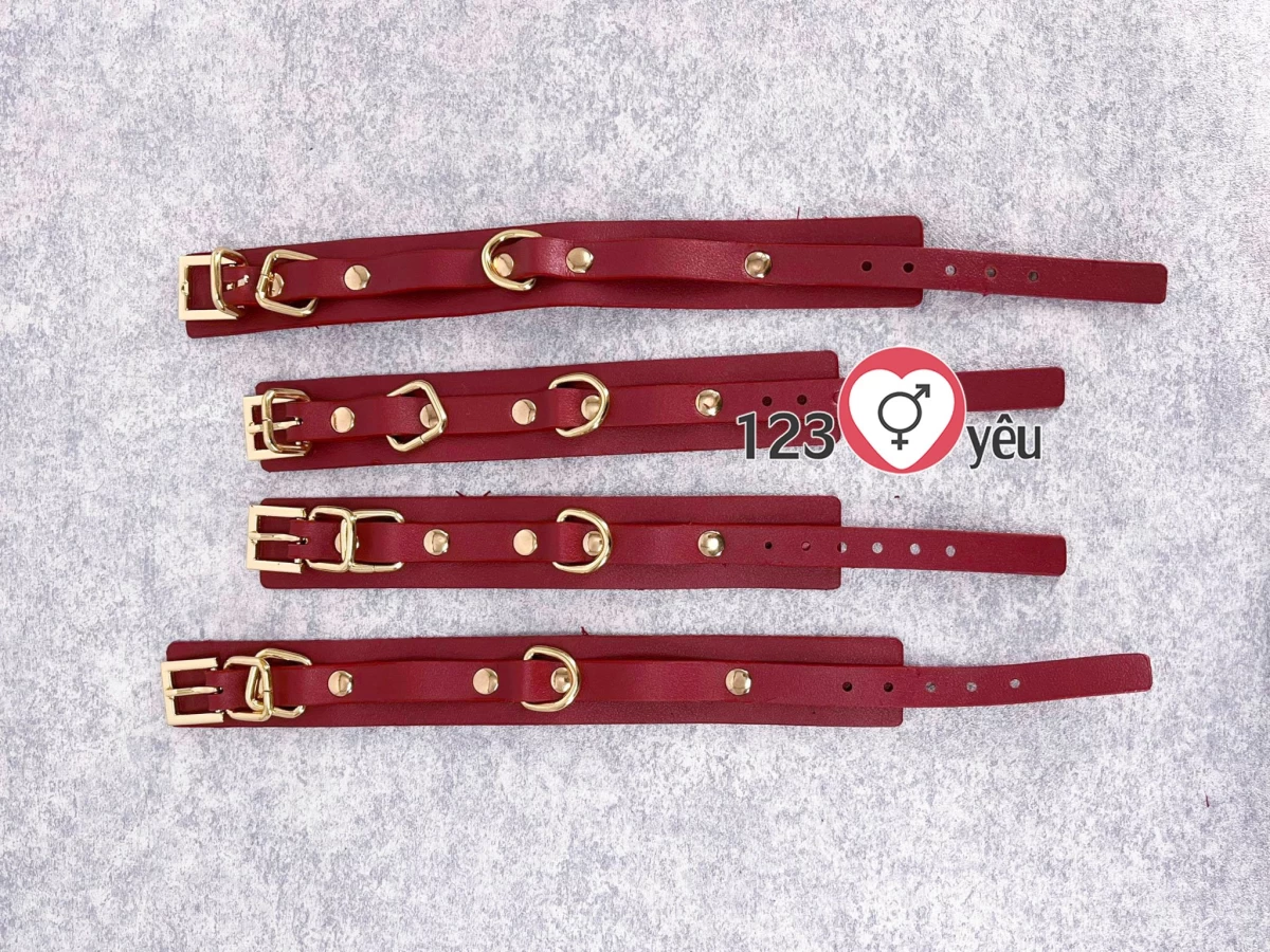 Bộ đồ chơi bạo d&acirc;m SM m&agrave;u đỏ 9 m&oacute;n