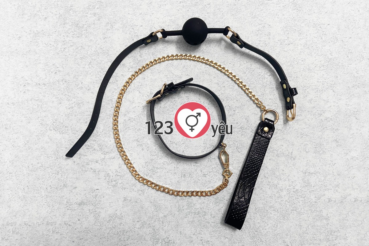 Đồ Chơi Bạo Dâm 10 Món Vân Da Màu Đen Sang Trọng 2