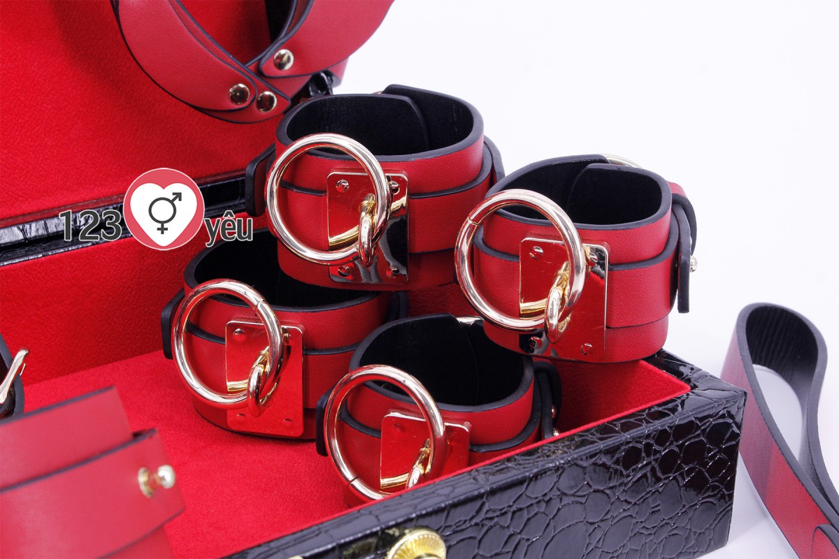 Bộ 8 m&oacute;n đồ chơi bạo d&acirc;m cao cấp sang trọng 5